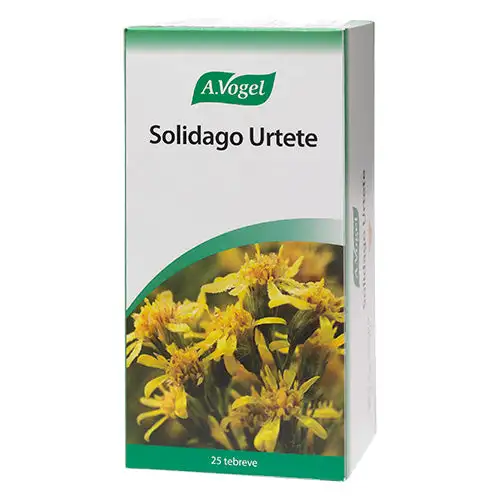 Solidago Urtete breve | 25 BR