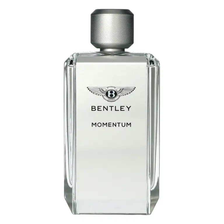 Bentley Momentum Eau de toilette 100 ml
