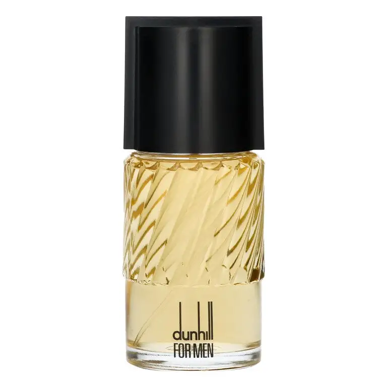 Alfred Dunhill Dunhill for Men Eau de toilette 100 ml