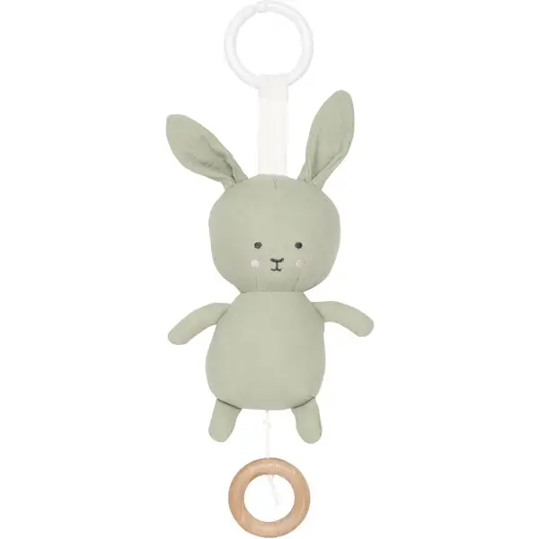 Jabadabado Spilledåse Bunny Grøn