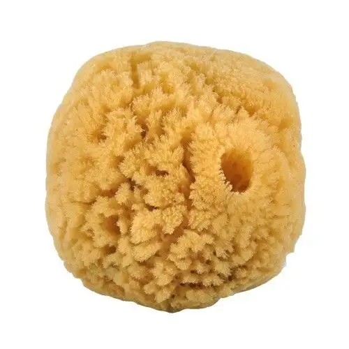 Croll og Denecke Natursvamp 10-12 cm - 1 stk.