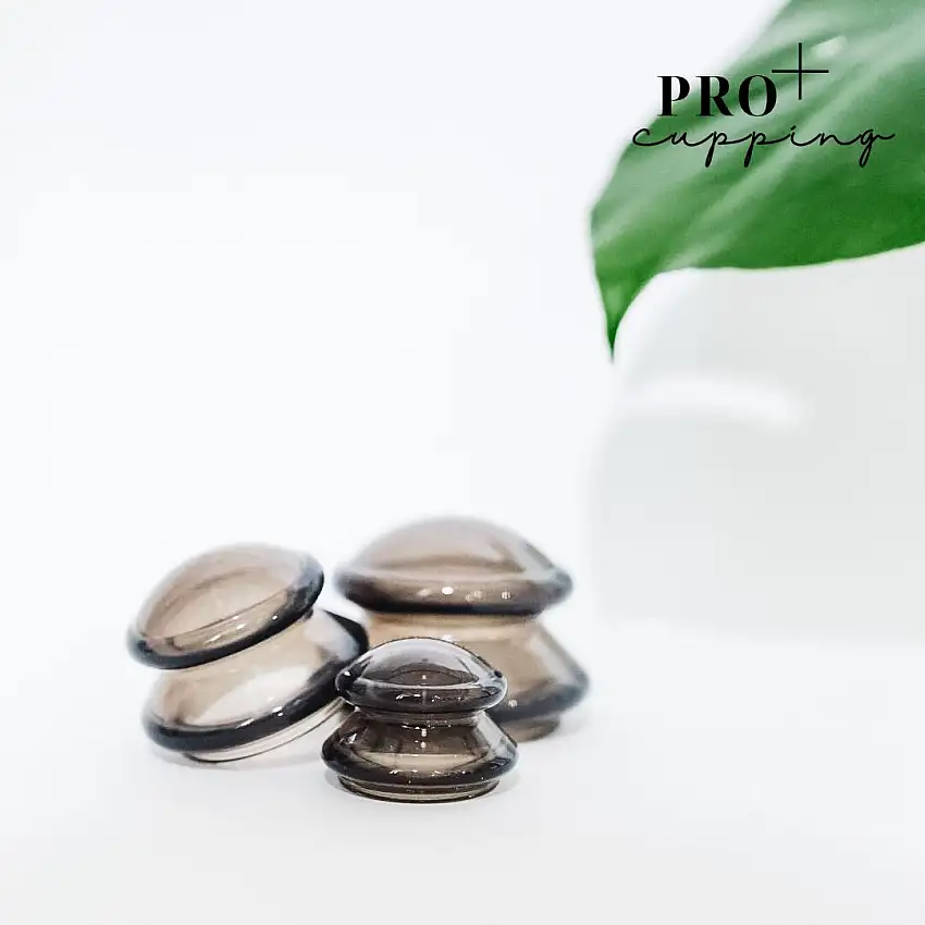 Natalie Maria Scandinavian - PRO+ Cupping