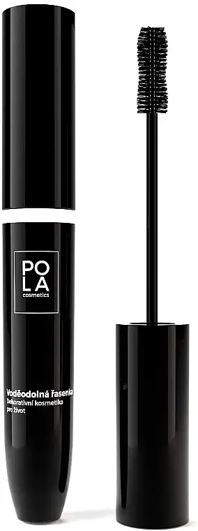 Pola Cosmetics Infinity Mascara 66519586