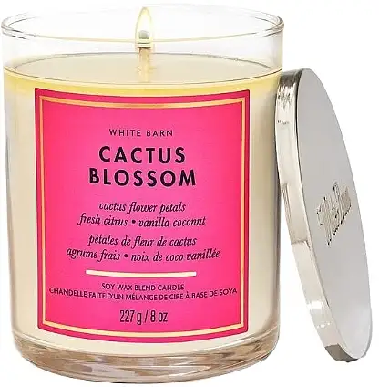 Duftlys med én væge 'Kaktusblomst' 93578461